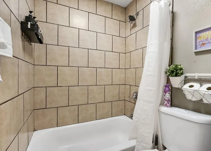 Vivid 1bd Tcu Walkable * Fort Worth